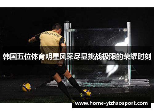 韩国五位体育明星风采尽显挑战极限的荣耀时刻